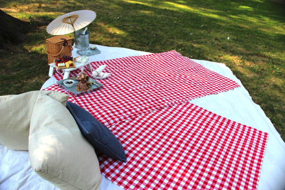 Picnics To Go & Delivery in Central Park